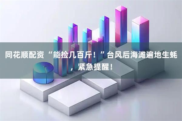 同花顺配资 “能捡几百斤！”台风后海滩遍地生蚝，紧急提醒！