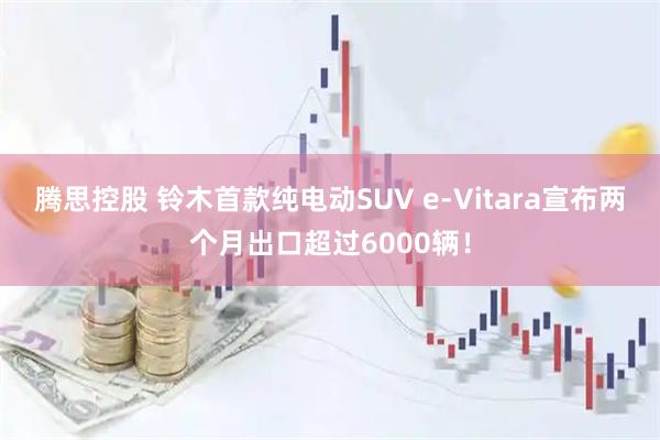 腾思控股 铃木首款纯电动SUV e-Vitara宣布两个月出口超过6000辆！