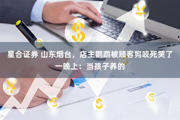 星合证券 山东烟台，店主鹦鹉被顾客狗咬死哭了一晚上：当孩子养的