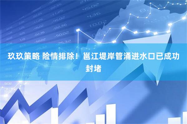 玖玖策略 险情排除！邕江堤岸管涌进水口已成功封堵