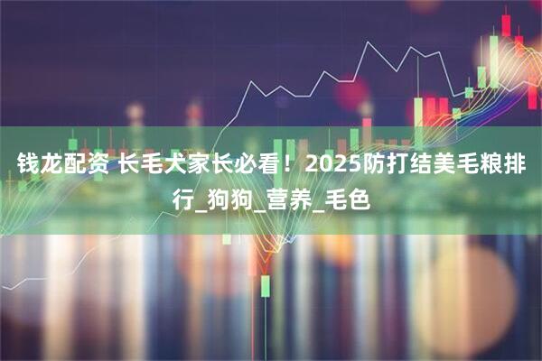 钱龙配资 长毛犬家长必看！2025防打结美毛粮排行_狗狗_营养_毛色