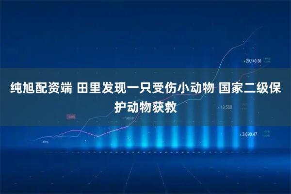 纯旭配资端 田里发现一只受伤小动物 国家二级保护动物获救